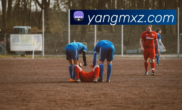奖项证书